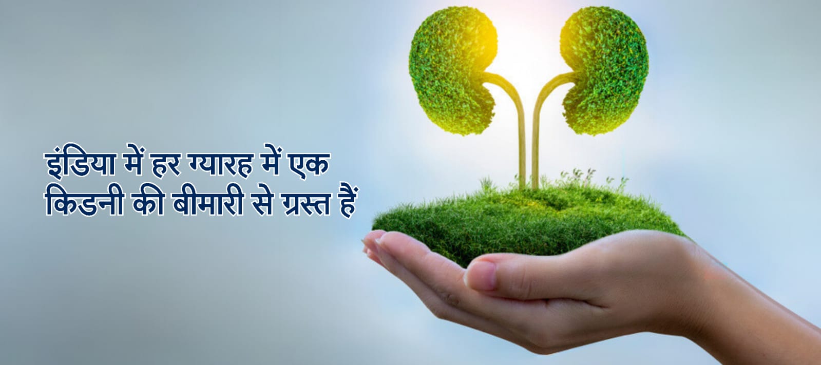 इंडिया में हर ग्यारह मैं एक किडनी की बीमारी से ग्रस्त हैं