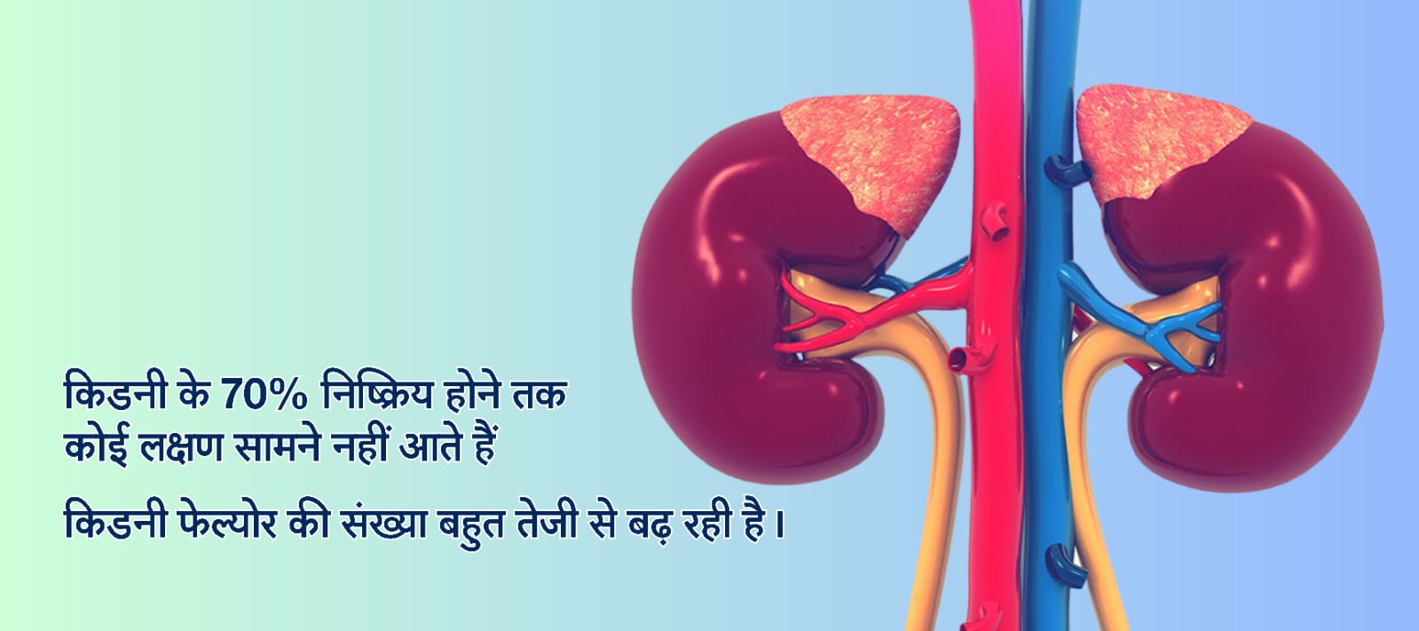 किडनी के कोई लक्षण सामने नहीं आते 